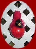 Cardinal.jpg